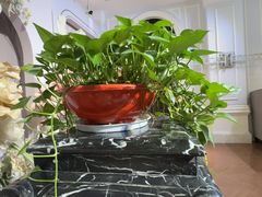 -王府井酒店(金桥港湾店)