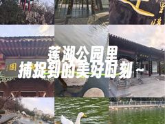 -莲湖公园