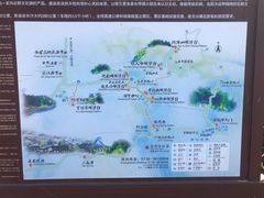 -紫鹊界梯田景区