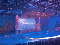 -华夏文旅海洋公园