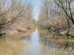 -溱湖国家湿地公园