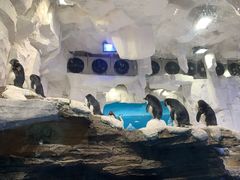 -华夏文旅海洋公园