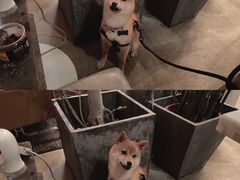 -the rug 飞毯 (朝阳公园店)