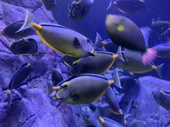 -成都浩海立方海洋公园