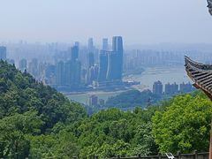 -南山植物园