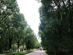 -上海海湾国家森林公园