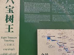 -莫里热带雨林景区
