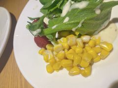 冰草-蓝鲸湾汤泉(包河店)