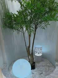 点击看大图 -VE专注问题肌·赛诺龙&科学美肤中心