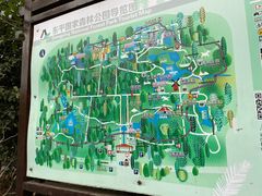 -东平国家森林公园