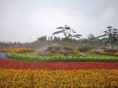-秀丽东方