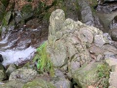 -藏龙百瀑风景区