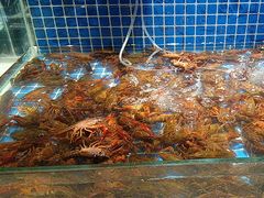 -加餐海鲜自助(集美银泰百货店)