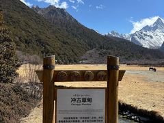 -稻城亚丁景区-冲古草甸