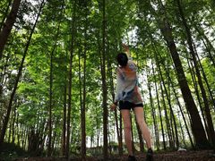 -桤木河湿地公园