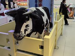 -红星前进面包牛奶公司(君太店)