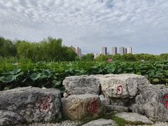 -太阳宫公园
