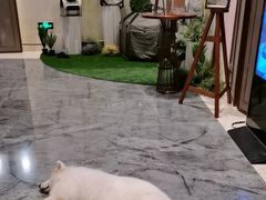 -上海崇明金茂凯悦酒店