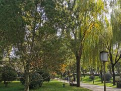 -唐城墙遗址公园