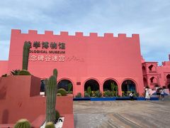 -漳州滨海火山岛自然生态风景区