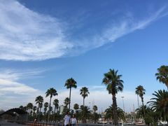 -小巴塞罗那海滩