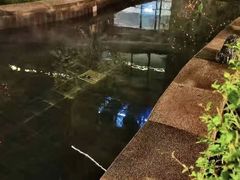 -茯茶镇