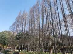 -东坡赤壁风景名胜区