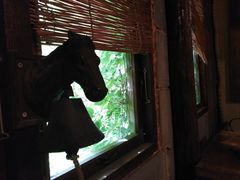 -斯多格书乡(北京大学畅春园店)