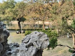 -泰州凤城河风景区-泰山公园