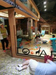 点击看大图 -卡通尼·Safari非洲探索乐园·生日会(金桥国际商业广场店)