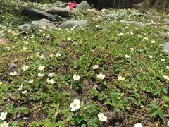 -硗碛藏寨·神木垒景区