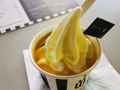 -JW德国冻酸奶Frozen Yogurt(龙湖成都滨江天街店)