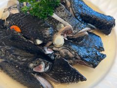-沙龙酒家