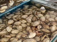 -港畔赶海蒸汽海鲜烧烤自助(仙螺岛店)