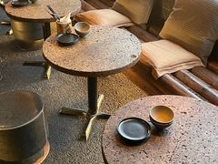 -毛辣果·酸