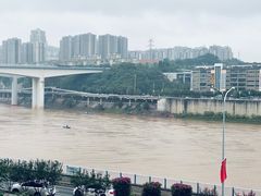 -李子坝梁山鸡(李子坝大鸡哥店)