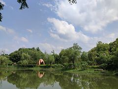 -洋湖国家湿地公园