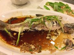 -越秀渔村·35年老字号(盘福路店)