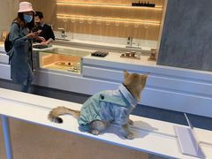 -% Arabica阿拉比卡咖啡烘焙工坊