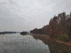 -东湖落雁景区