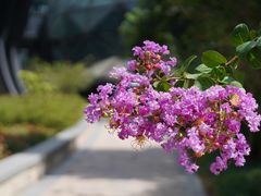 -上海滴水湖皇冠假日酒店