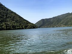 -芦茨金富饭庄·25年老字号·专做稻草鸡