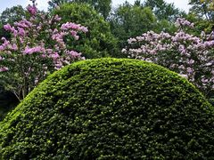 -杭州城北体育公园