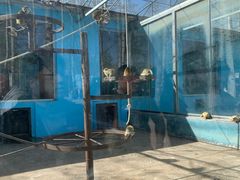 -秦皇岛野生动物园