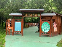 -东平国家森林公园