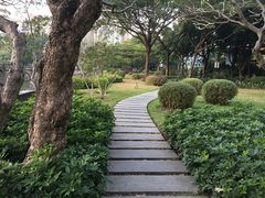 -晓港公园