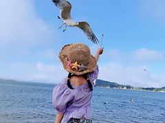 -海驴岛(荣成市)