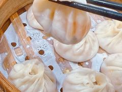 -莱莱小笼·乔艾