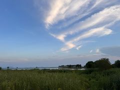 -合肥滨湖国家森林公园