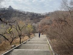 -北山公园